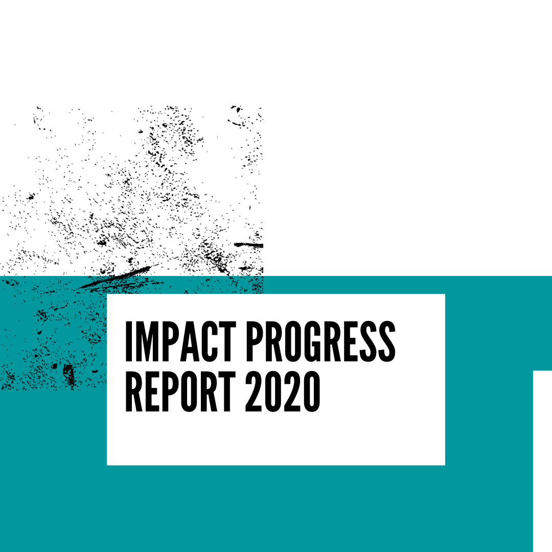 Impact Progress Report 2020 - Lost in Samsara